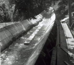 Keep that data moving (logs shown here) - Flume, 1965, Werner Lenggenhager, State Library Photograph Collection, 1851-1990, Washington State Archives, Digital Archives, http://www.digitalarchives.wa.gov, April 3 2017. 1960's era wooden logging flume with water running in it
