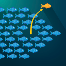 Not all fish are the same, and not all subscriptions are, either! unique fish